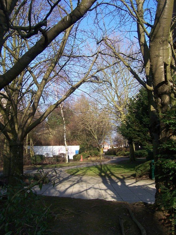 Photo de la Plaine #135